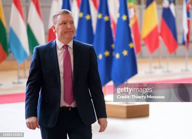 Irish Minister Minister for Finance Michael McGrath is talking to media prior an Eurogroup Ministers meeting in the Europa, the EU Council...