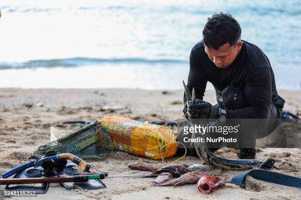 Fisherman is removing fish from his net in the village of Kinunang, District Likupang East, North Sulawesi, Indonesia on March 13, 2023.