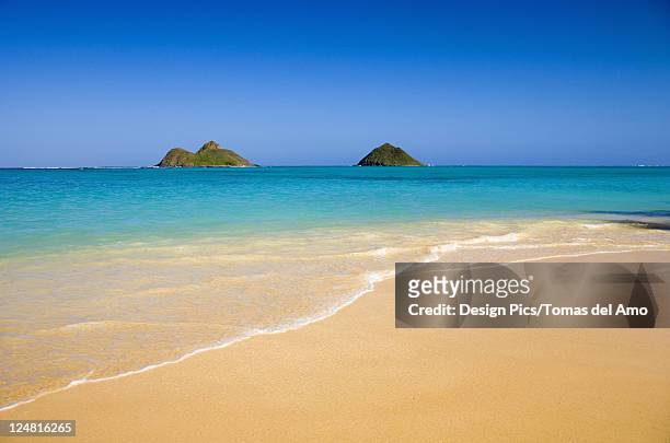 hawaii, oahu, lanikai beach, mokulua islands, scenic landscape on a bright day - kailua stock-fotos und bilder