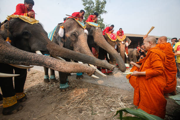 THA: Elephants Honoured in Thailand