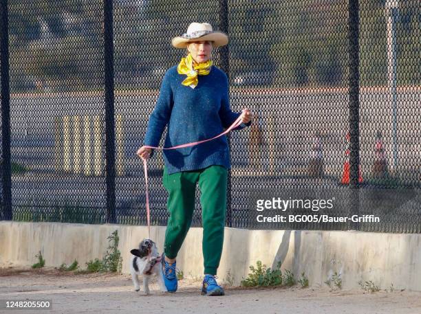 Andie MacDowell is seen on March 13, 2023 in Los Angeles, California.