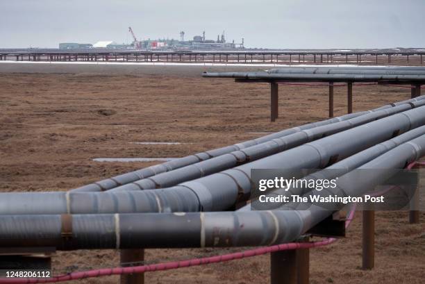 Oil pipelines stretch across the landscape outside Nuiqsut, AK where ConocoPhillips operates the Alpine Field on May 28, 2019.