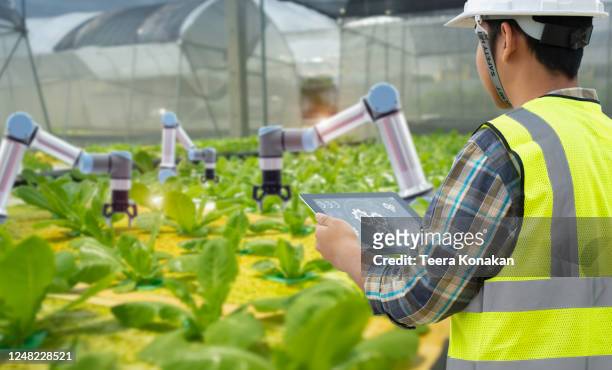 farmers use tablets to monitor the growth of vegetables in a smart farm.organic agriculture concept. - robotic human arm stock pictures, royalty-free photos & images