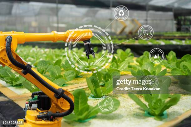 Bot Farm Rack Bot Farm Photos and Premium High Res Pictures - Getty Images