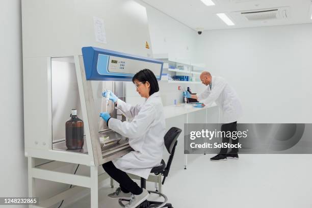 accurate research examinations - drug testing lab stock pictures, royalty-free photos & images