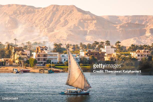 felucca boat is sailing along the nile river in aswan the southern city of egypt - egypt stock-fotos und bilder