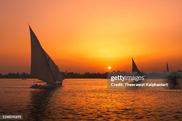 felucca boats are sailing along the nile river during silhouette sunset sky in aswan the southern part of egypt - ナイル川 ストックフォトと画像