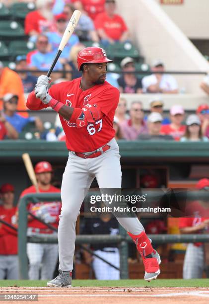 Jordan Walker of the St. Louis Cardinals bats during the Spring Training game against the Detroit Tigers at Publix Field at Joker Marchant Stadium on...