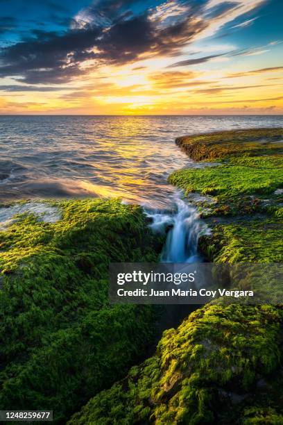 just like paradise, last rays of sunlight over mokule'ia beach - oahu's north shore (hawaii, usa) - oahu stockfoto's en -beelden