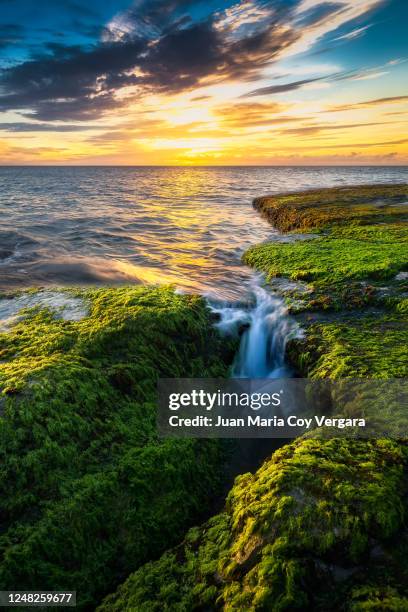 just like paradise, last rays of sunlight over mokule'ia beach - oahu's north shore (hawaii, usa) - oahu imagens e fotografias de stock