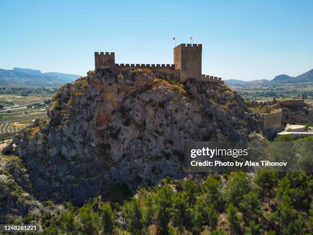 aerial view castle of sax. spain - moat stockfoto's en -beelden