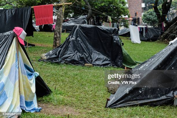 Stranded Venezuelans build makeshift camp in a tree-covered park amid Covid-19 pandemic, waiting for an opportunity to return to their country, Cali,...