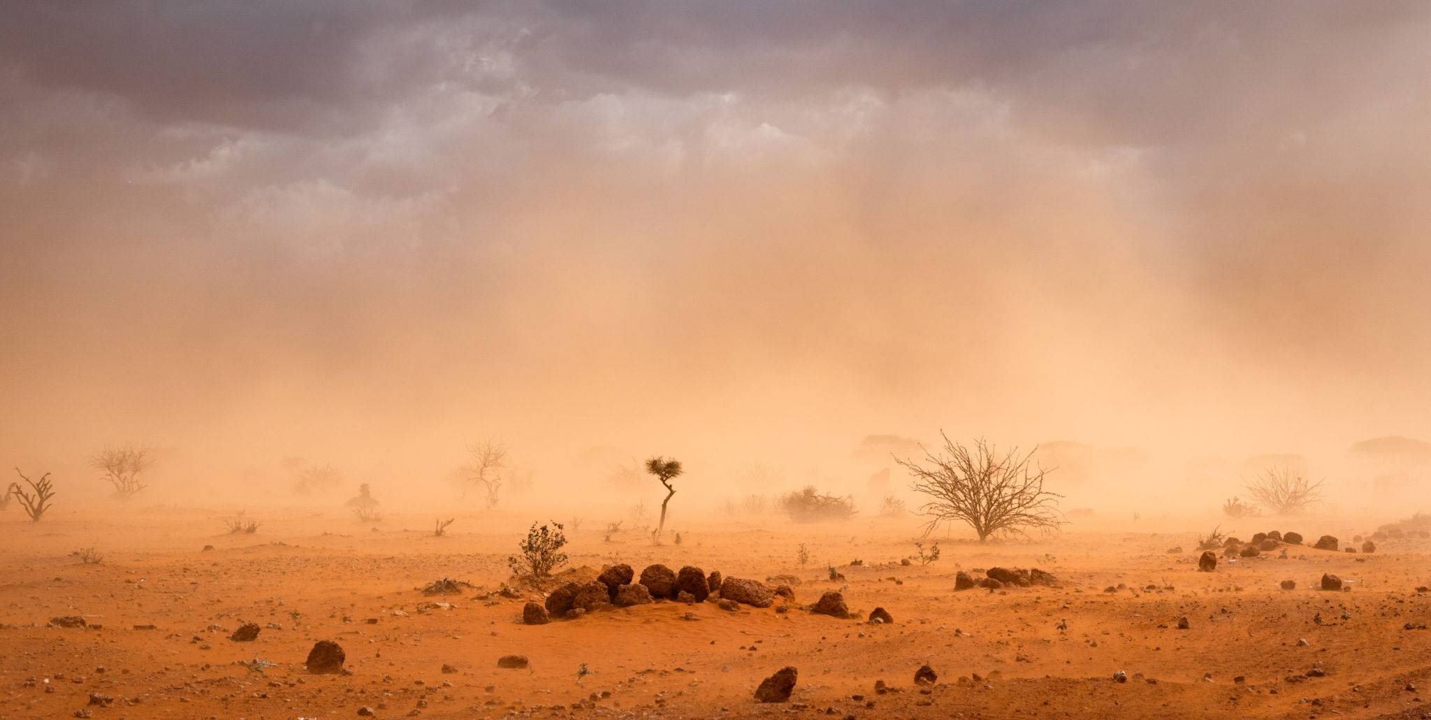 climate refugees