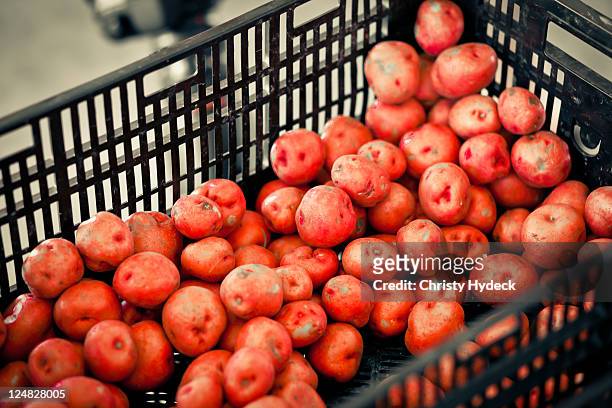 potatoes in basket - hydeck stock-fotos und bilder