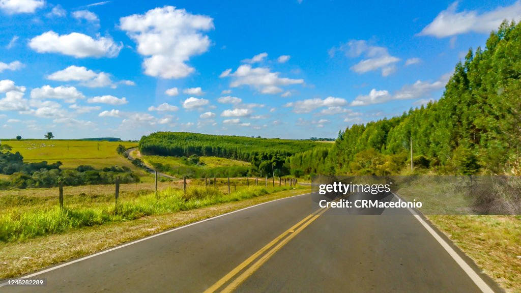 Sugarcane plantations are crossed by roads and highways in the rural area of Piracicaba.