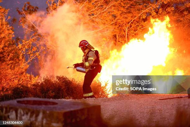 Firefighter tries to control the flames during the Calafell forest fire. A fire in Calafell burns 13 hectares and forces hundreds of people to be...