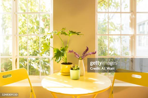 coffee table and chair in an apartment - summer indoors stock pictures, royalty-free photos & images
