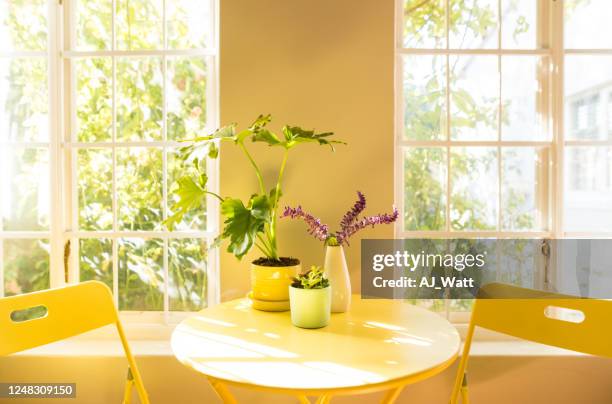 coffee table and chair in an apartment - yellow room stock pictures, royalty-free photos & images