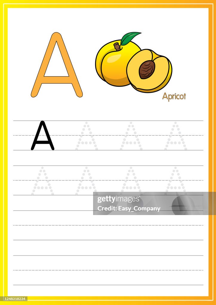 Vector illustration of apricot vector isolated on white background for children coloring book.