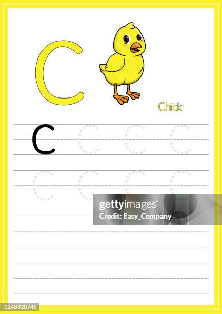 vektor-illustration von yellow chick isoliert auf weißem hintergrund. mit dem großbuchstaben c für die verwendung als lehr- und lernmedium für kinder, um englische buchstaben zu erkennen oder für kinder zu lernen, briefe zu schreiben verwendet, um zu  - baby chicken stock-grafiken, -clipart, -cartoons und -symbole