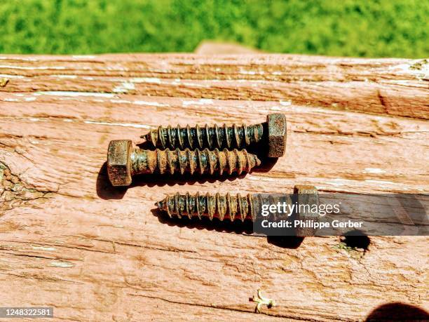 Green Rusted Screw Rusted Screw Photos and Premium High Res Pictures - Getty Images