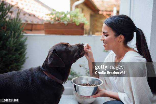 jeune femme et son chien de compagnie à la maison - nourrir photos et images de collection