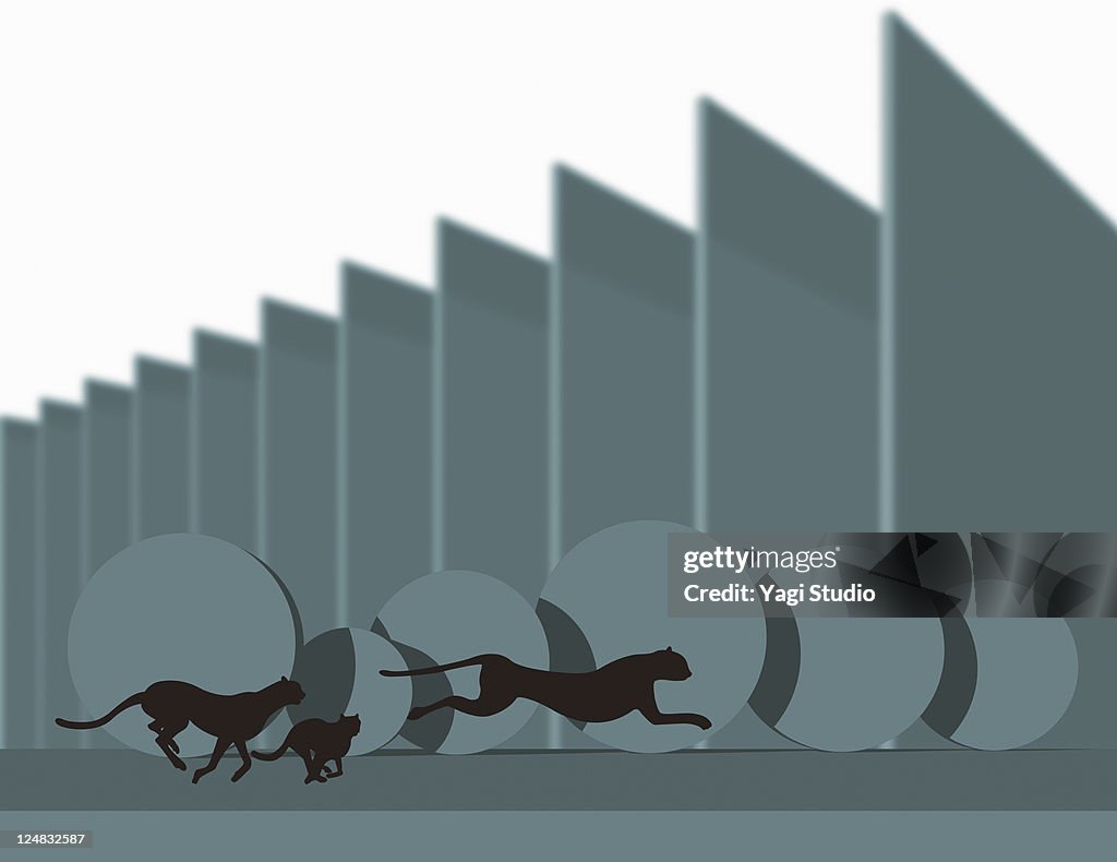 Silhouette of a cheetah running in a strange space