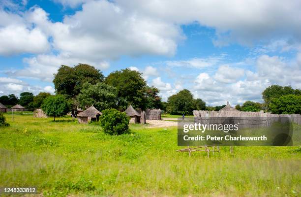 View of thatched village storage houses and wooden fences to keep out wild animals in a small village near the town of Katima Mulilo.