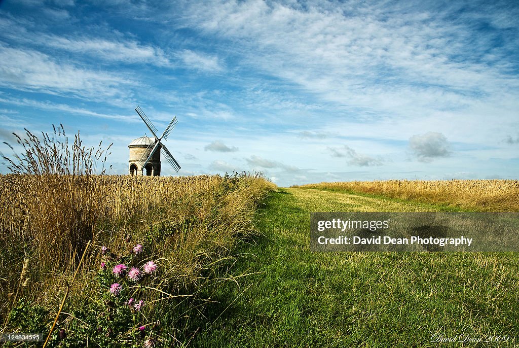 Summer windmill