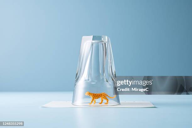 toy animal trapped in a drinking glass - embuscade photos et images de collection
