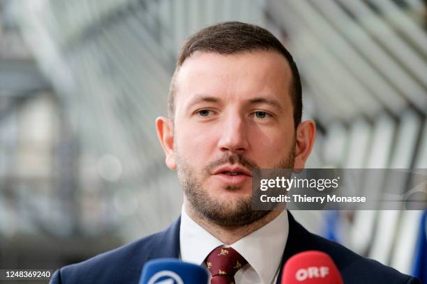 Commissioner for Environment, Oceans and Fisheries Virginijus Sinkevicius talks to media prior an environment Ministers meeting in the Europa, the EU...