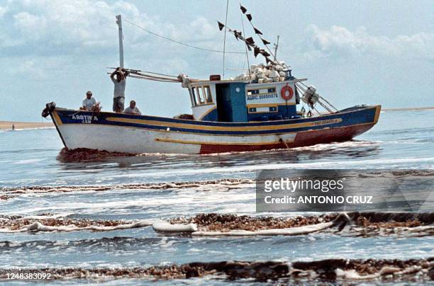 Fisherman navigate 04 April 2003, near the Atafona beach, 400 km north of Rio de Janeiro, where an ecological disaster contaminated the Pomba and...