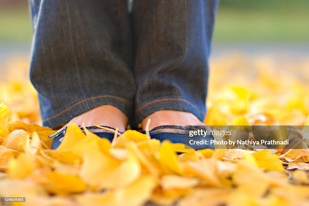 Boy standing on yellow leaves