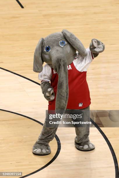 Alabama mascot Big Al during the game between the Alabama Crimson Tide and the Texas A&M-CC Islanders in the First Round of the NCAA Men's Basketball...