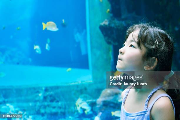 girl at  aquarium - people at aquarium stock pictures, royalty-free photos & images
