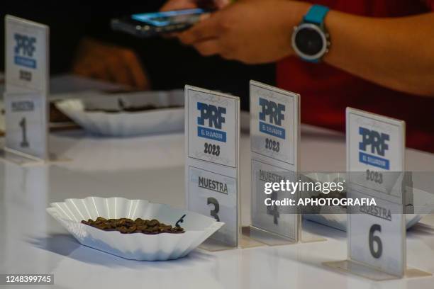 Detail of the samples of coffee beans from different farms during the sixth edition of the international event of the Producer and Roasters Forum at...