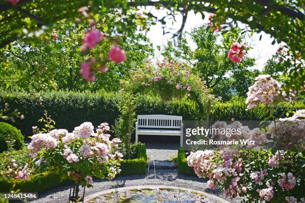 rose garden with white bench - rosenträdgård bildbanksfoton och bilder