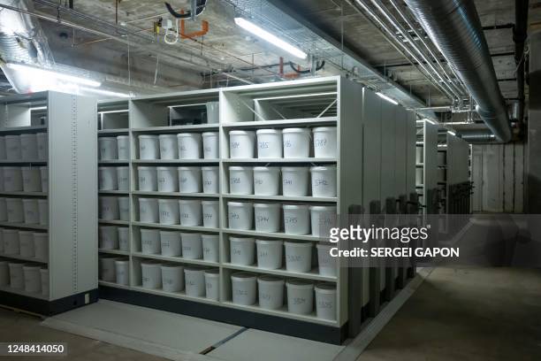 Brain collection stored in buckets is seen in the basement of the University of Southern Denmark in Odense, on January 28, 2023. - An eerie anthology...