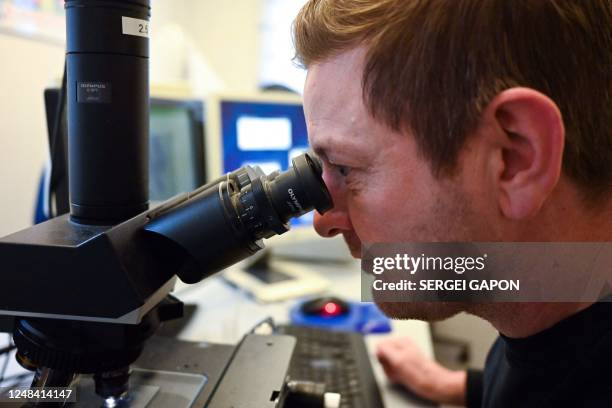 An employee studies human brain fragments in the laboratory of the Bispebjerg hospital in Copenhagen on February 3, 2023. - An eerie anthology lurks...