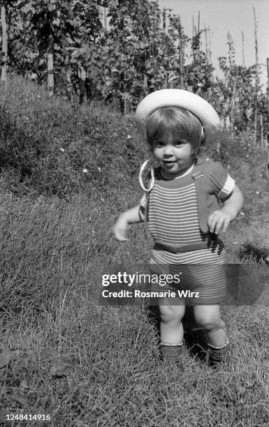 toddler boy of two in vineyard - ambivere stock pictures, royalty-free photos & images