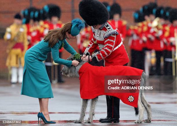Britain's Catherine, Princess of Wales presents a traditional sprig of shamrock to the mascot of the 1st Battalion Irish Guards, Irish Wolfhound dog...