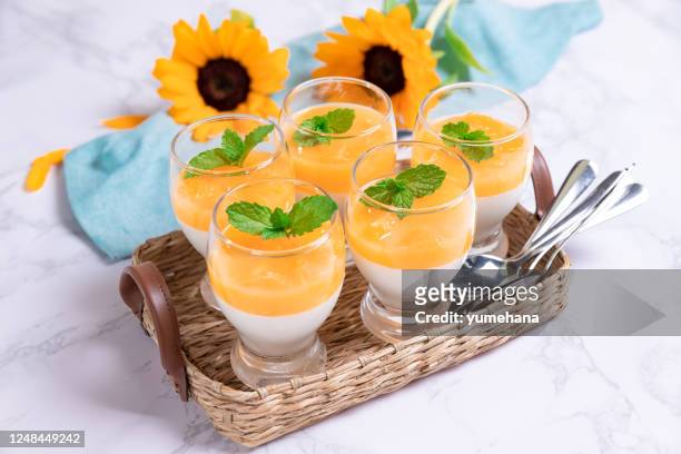 panna cotta com geleia de laranjas e hortelã, sobremesa italiana - gelatina fenômeno natural - fotografias e filmes do acervo