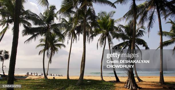 Sri Lankan fishermen pull a fishing net at the beach of Hikkaduwa, some 160 km south of Colombo, 17 December 2007. Hikkaduwa was one of the...