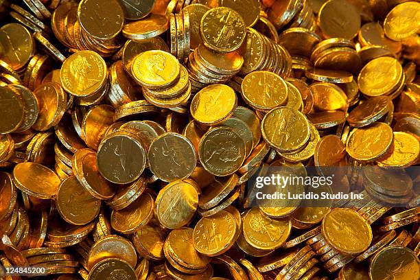 chocolate canadian loonies - loonie stock pictures, royalty-free photos & images