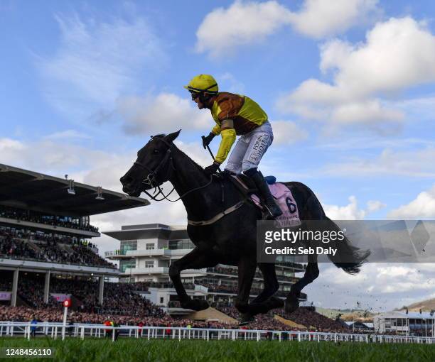 Gloucestershire , United Kingdom - 17 March 2023; Jockey Paul Townend celebrates on Galopin Des Champs after winning the Boodles Cheltenham Gold Cup...