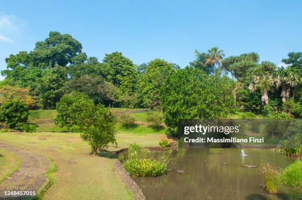 landscaped botanical garden in bogor, west java, indonesia - bogor stockfoto's en -beelden