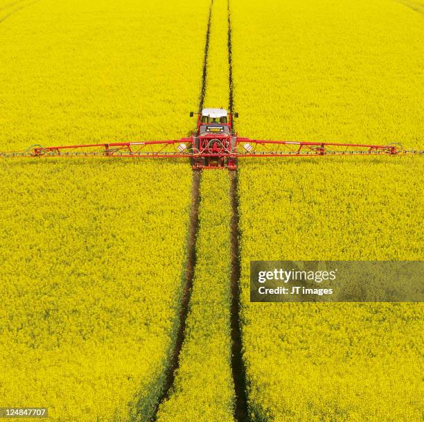 rape seed spraying - rape stock pictures, royalty-free photos & images