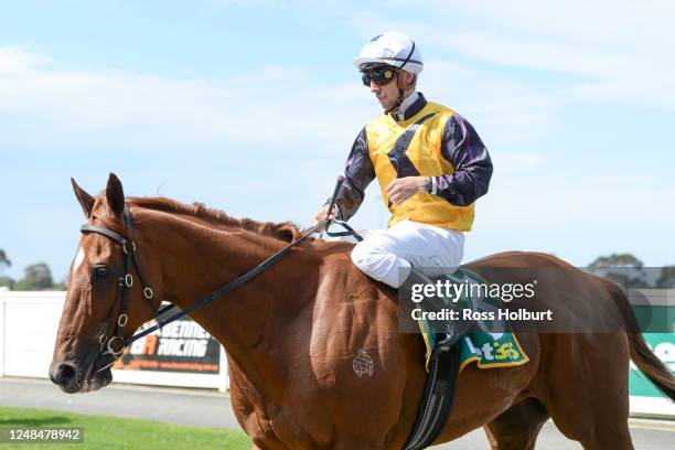 20 Archibald Scales Stock Photos, HighRes Pictures, and Images Getty