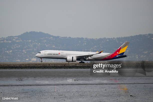 An Asiana Airlines plane lands at San Francisco International Airport in San Francisco, California, United States on March 17, 2023.