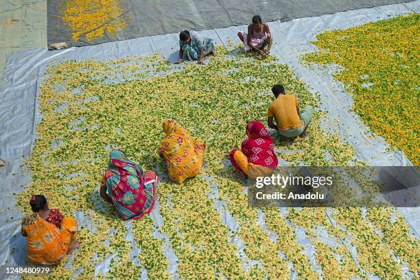 Workers lay "Finger Fryums" to dry, which is a finger shaped food made from seasoned dough, in a factory on the outskirts of Agartala, India on March...